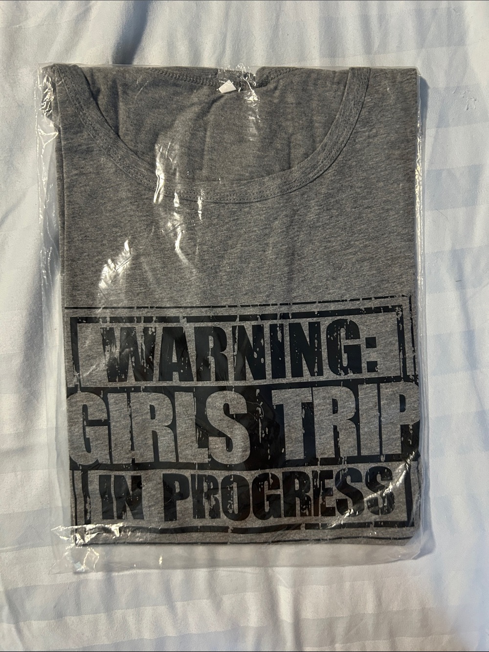 Warning: Girls Trip Graphic Tee - Gray